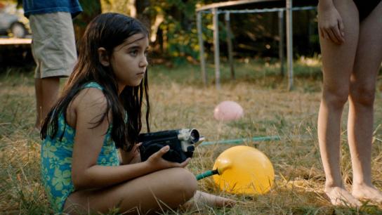 Blue Heron (2026) Image