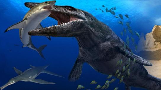 Sea Monsters: A Prehistoric Adventure (2007) Image