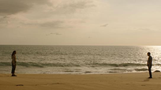 Send Help (2026) Image