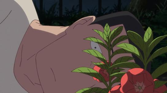 The Last Blossom (2025) Image