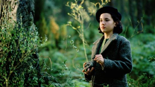 Pan's Labyrinth (2006) Image