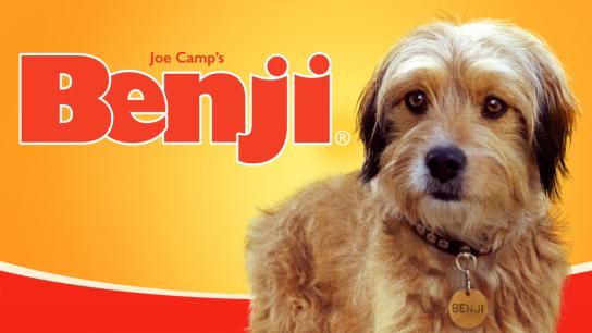 Benji (1974) Image