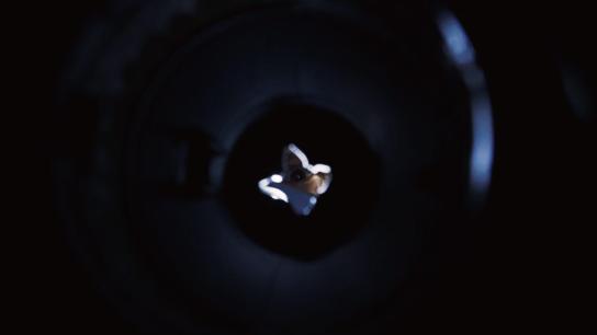 Disposal (2025) Image