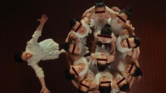 The Fire Raven (2025) Image