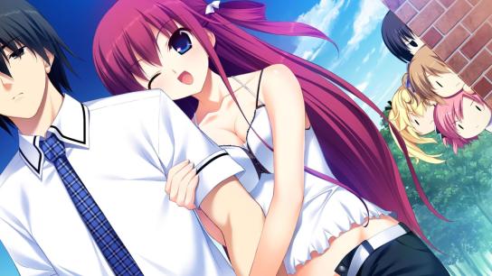 The Labyrinth of Grisaia (2015) Image