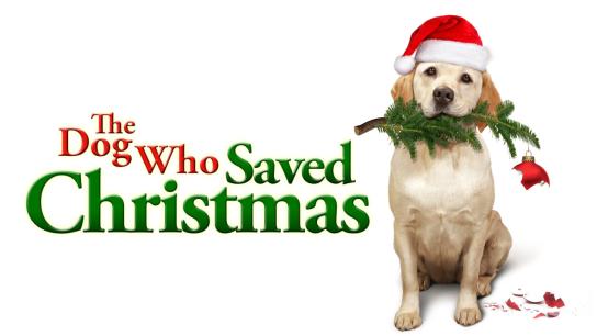 The Dog Who Saved Christmas (2009) Image