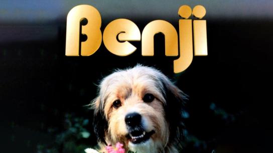 Benji (1974) Image