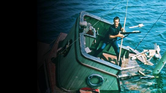 Jaws (1975) Image