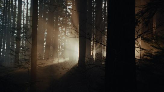 Keeper (2025) Image