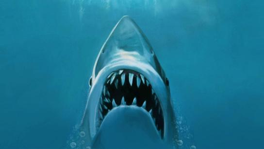 Jaws (1975) Image