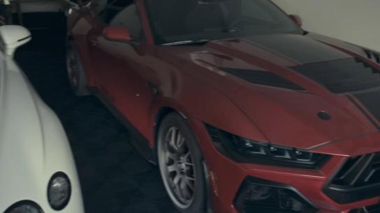 The Mongoose (2026) Image