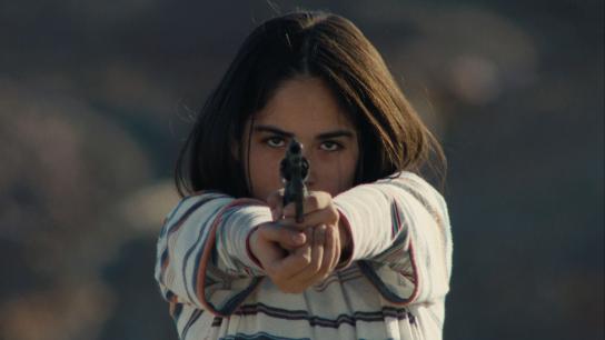 The Mysterious Gaze of the Flamingo (2025) Image