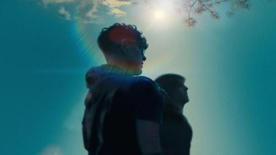 Come See Me in the Good Light (2025) Image