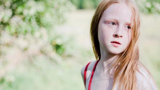 The Girl (2009) Image