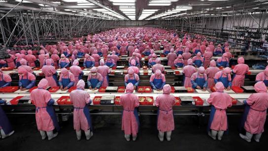 Manufactured Landscapes (2006) Image