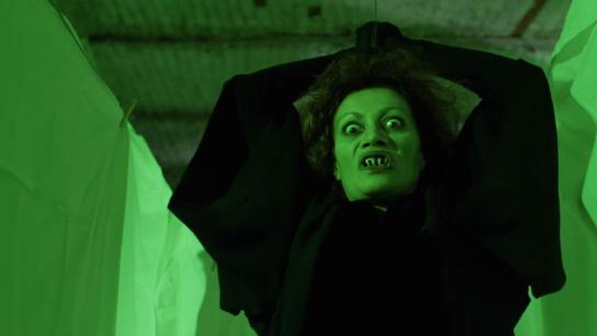 The Spider Labyrinth (1988) Image