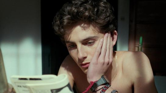 Call Me by Your Name (2017) Image