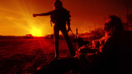 Freedom (1981) Image