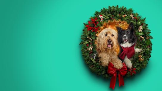 Happy Howlidays (2024) Image