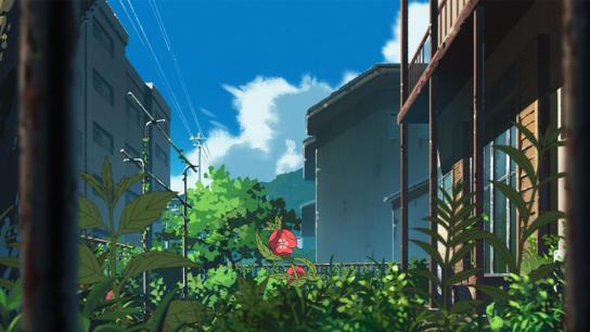 The Last Blossom (2025) Image