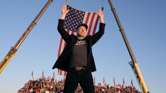 Musk (2026) Image