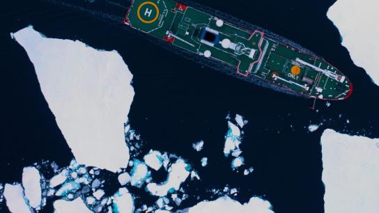 Endurance (2024) Image