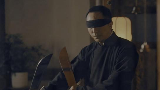 Ip Man: Kung Fu Legend (2026) Image