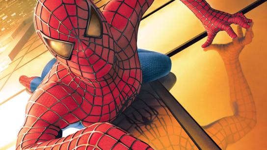 Spider-Man (2002) Image