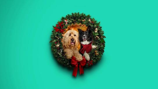 Happy Howlidays (2024) Image