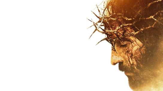The Passion of the Christ (2004) Image