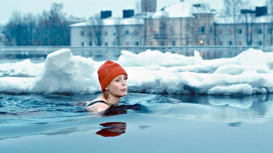 Twisted Roots (2009) Image