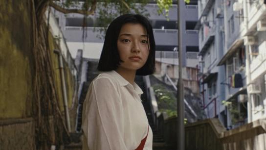 Zi (2026) Image