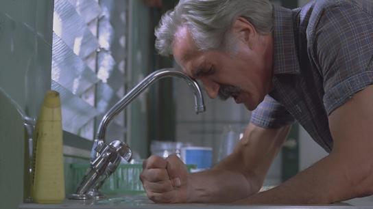 The Arrangement (1983) Image