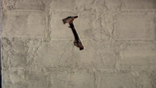 The Hammer (1986) Image