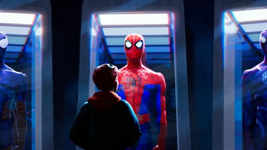 Spider-Man: Into the Spider-Verse (2018) Image