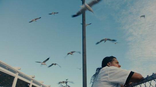 Mad Bills to Pay (or Destiny, dile que no soy malo) (2026) Image