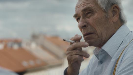On the Roof (2019) Image
