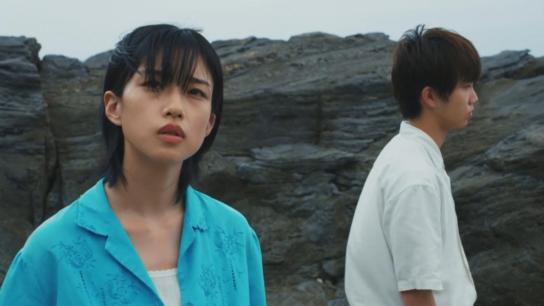 Two Seasons, Two Strangers (2025) Image