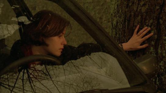 The Double Life of Véronique (1991) Image