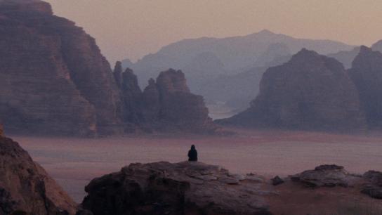 A Cross in the Desert (2022) Image