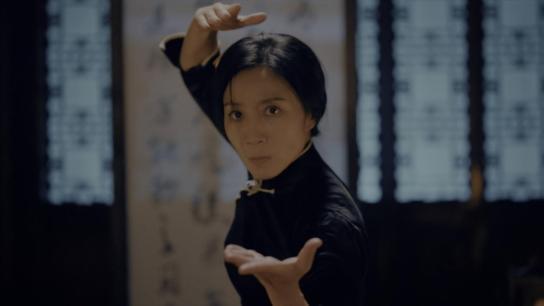 Ip Man: Kung Fu Legend (2026) Image