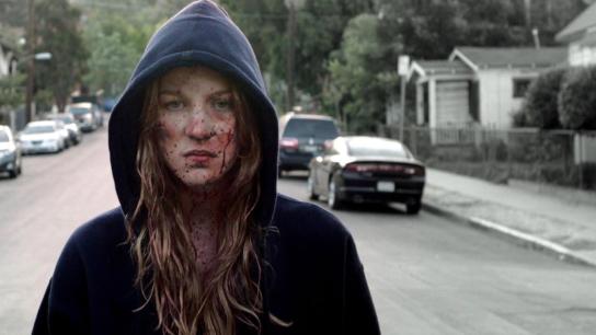 Bound to Vengeance (2015) Image