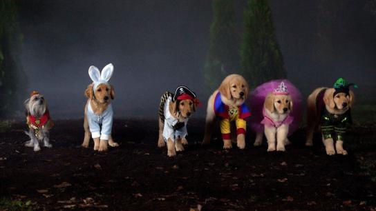 Spooky Buddies (2011) Image