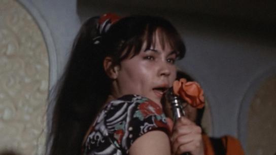 Rika 2: Lonely Wanderer (1973) Image
