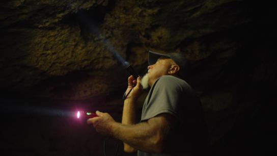 Frogtown (2026) Image