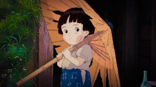 Grave of the Fireflies (1988) Image