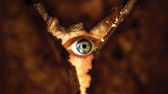 Return to Silent Hill (2026) Image