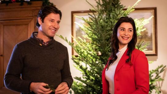 A Snowy Christmas (2021) Image