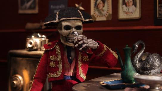 The Last Matador (2020) Image