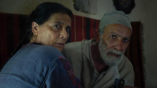 Palestine 36 (2025) Image